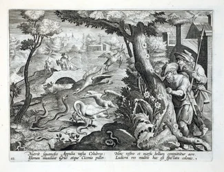 Turmkran und ihre Küken stürzen sich auf Schlangen, Illustration aus 